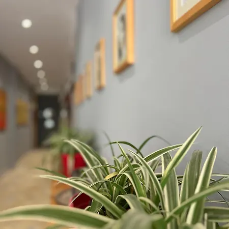 Atlantid Hospitality 科帕罗