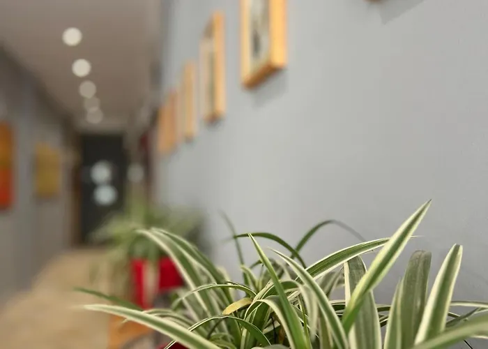 Atlantid Hospitality Qeparo